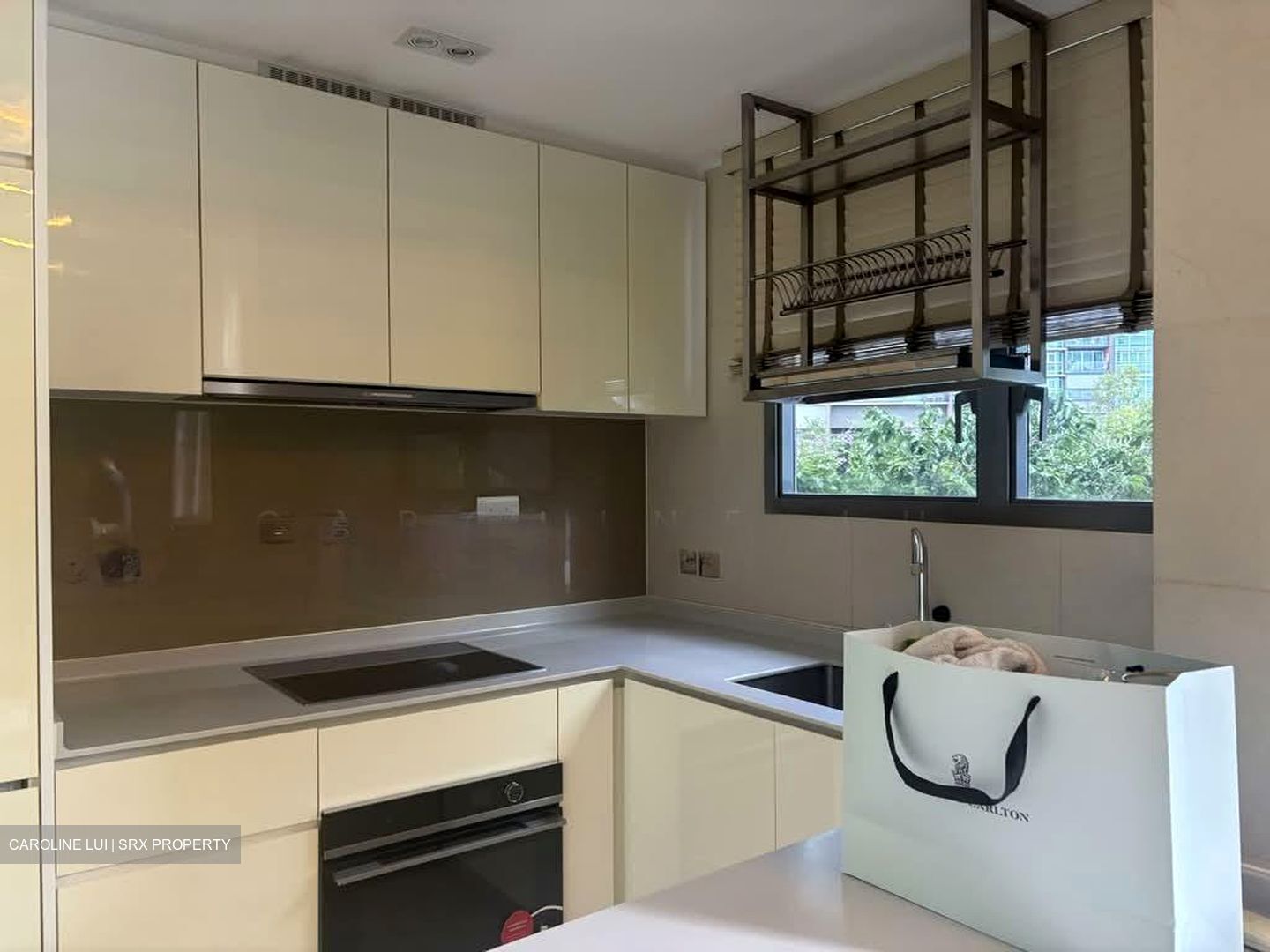 Mon Jervois (D10), Condominium #551131401